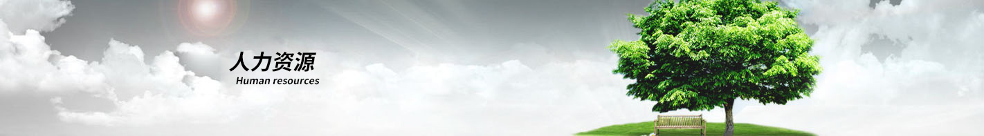 常州恒隆仪器无限公司-人力资本